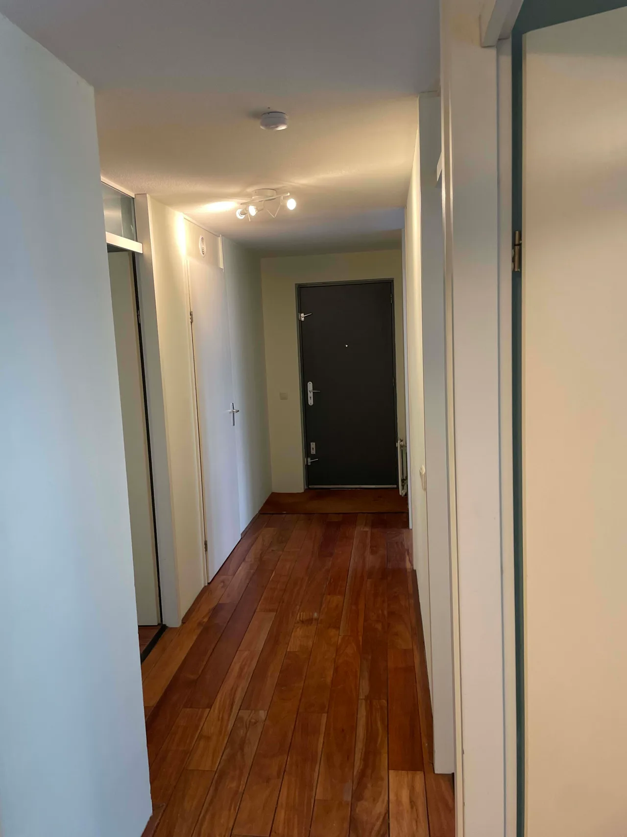 Image 3 of 13